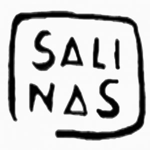 (c) Salinasmorales.com
